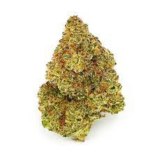 jack herer strain australia